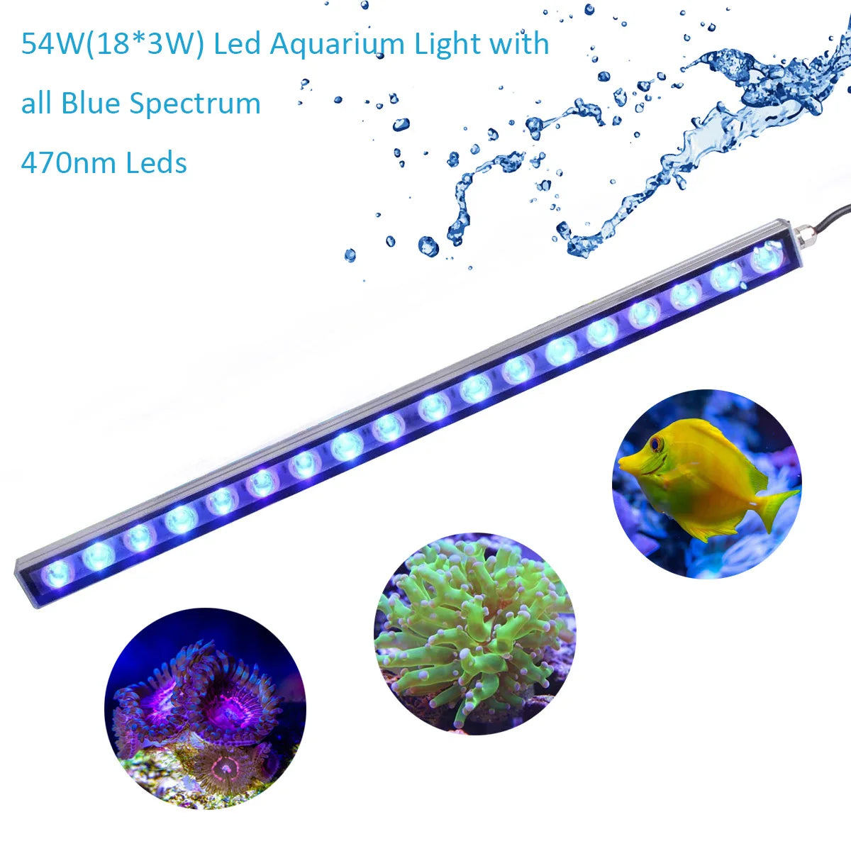 Populargrow 54W 81W 108W Aquarium Light 470nm Blue Spectrum