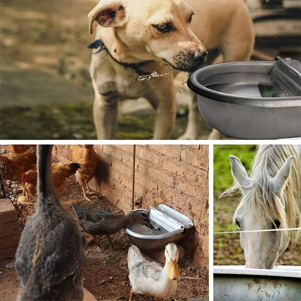Automatic Water Dispenser Stainless Steel Dog Drinking Bowl