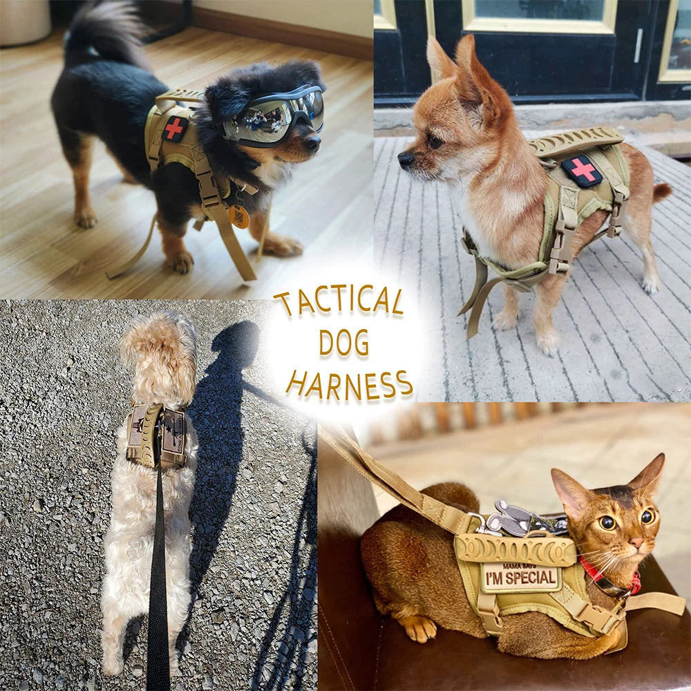 Tactical Puppy Harness Leash For Small Dogs And Cats