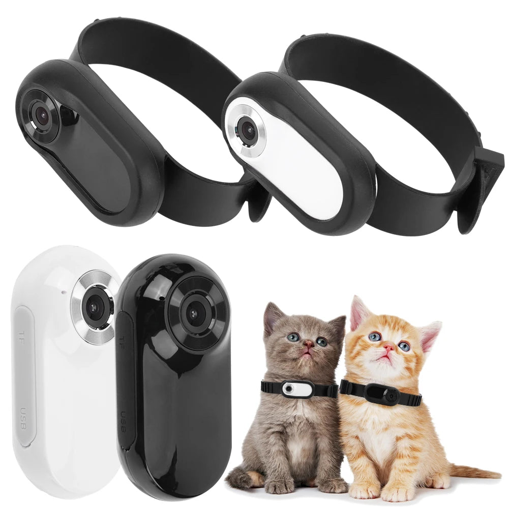 HD 1080P Wireless Collar Camera For Dogs And Cats 32G Card