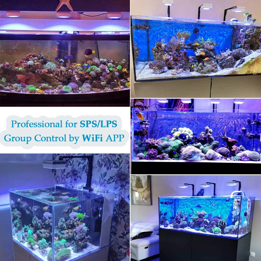 PopBloom RL90 WiFi Aquarium LED Lighting 100W Coral Reef