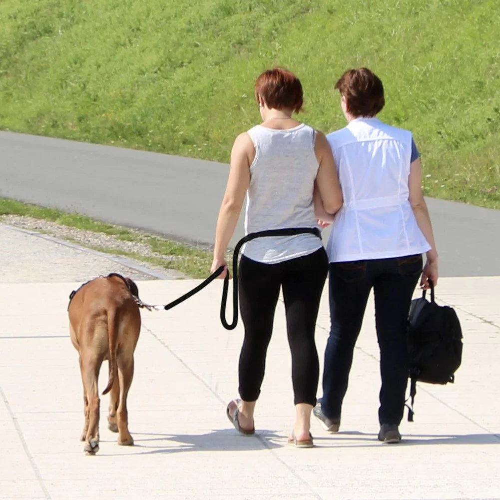 Adjustable Dog Leash Halti Training Double Ended 2M 6ft