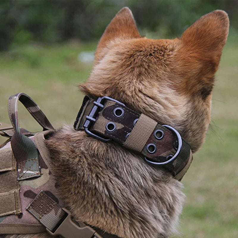 Adjustable Reflective Nylon Dog Collar Heavy Duty Tactical