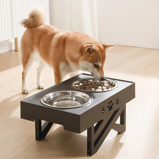 Elevated Dog Bowl Non Slip No Spill For Healthy Digestion
