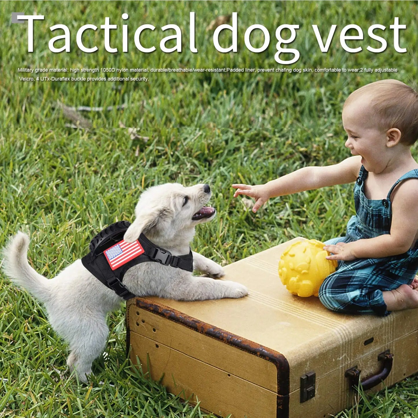 Tactical Puppy Harness Leash For Small Dogs And Cats