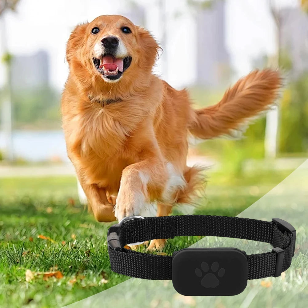 Dog Tracker with Adjustable Collar Smart Pet Locator Cat Tracker for Dogs and Cats