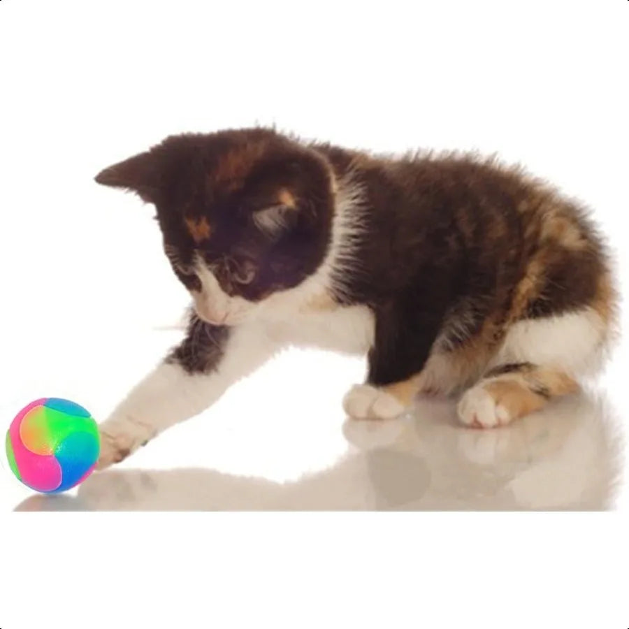 2Pcs Light Up Dog BallsLED Dog Ball Glow in The Dark Dog Ball Flashing Elastic Pet Toys for Puppy Cats Dogs
