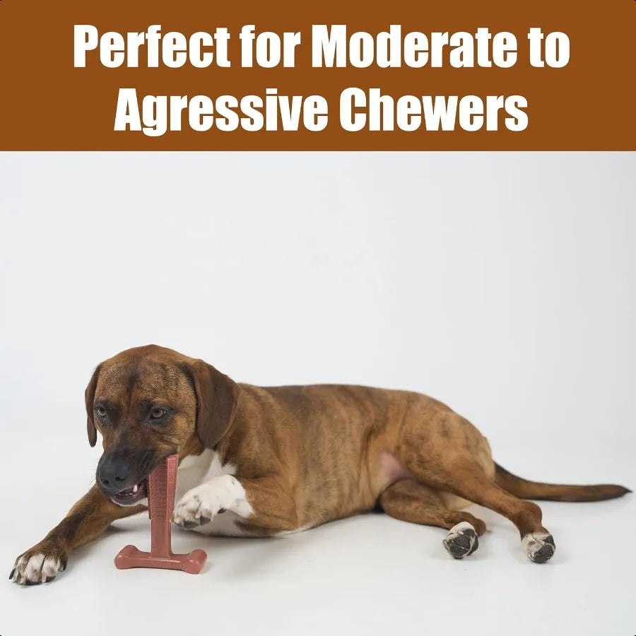 BamBones Plus TBone Bamboo Fiber Nylon Dog Chew Durable for Aggrive Chewers NonSplintering for Adult Dogs Teething Puppies Unde