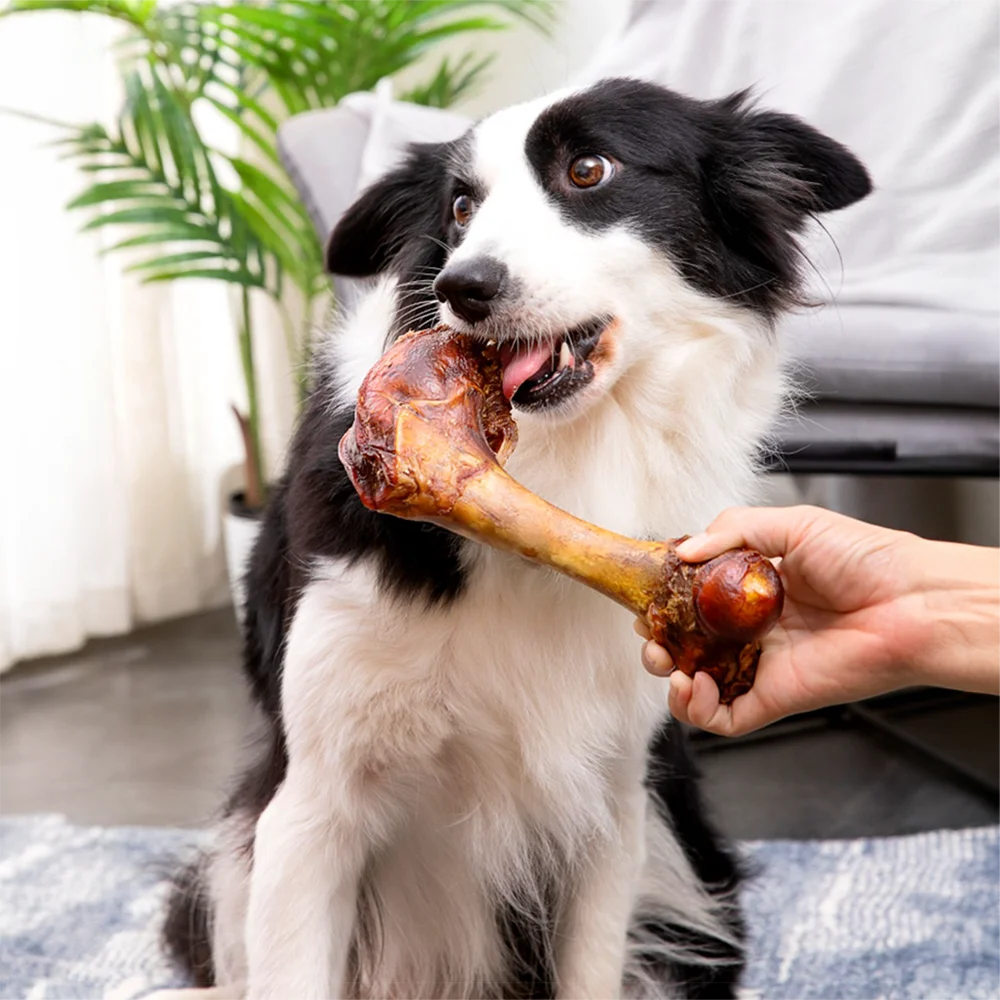 Large Cow Bone Dog Treats 150 To 190g All Natural Digestible
