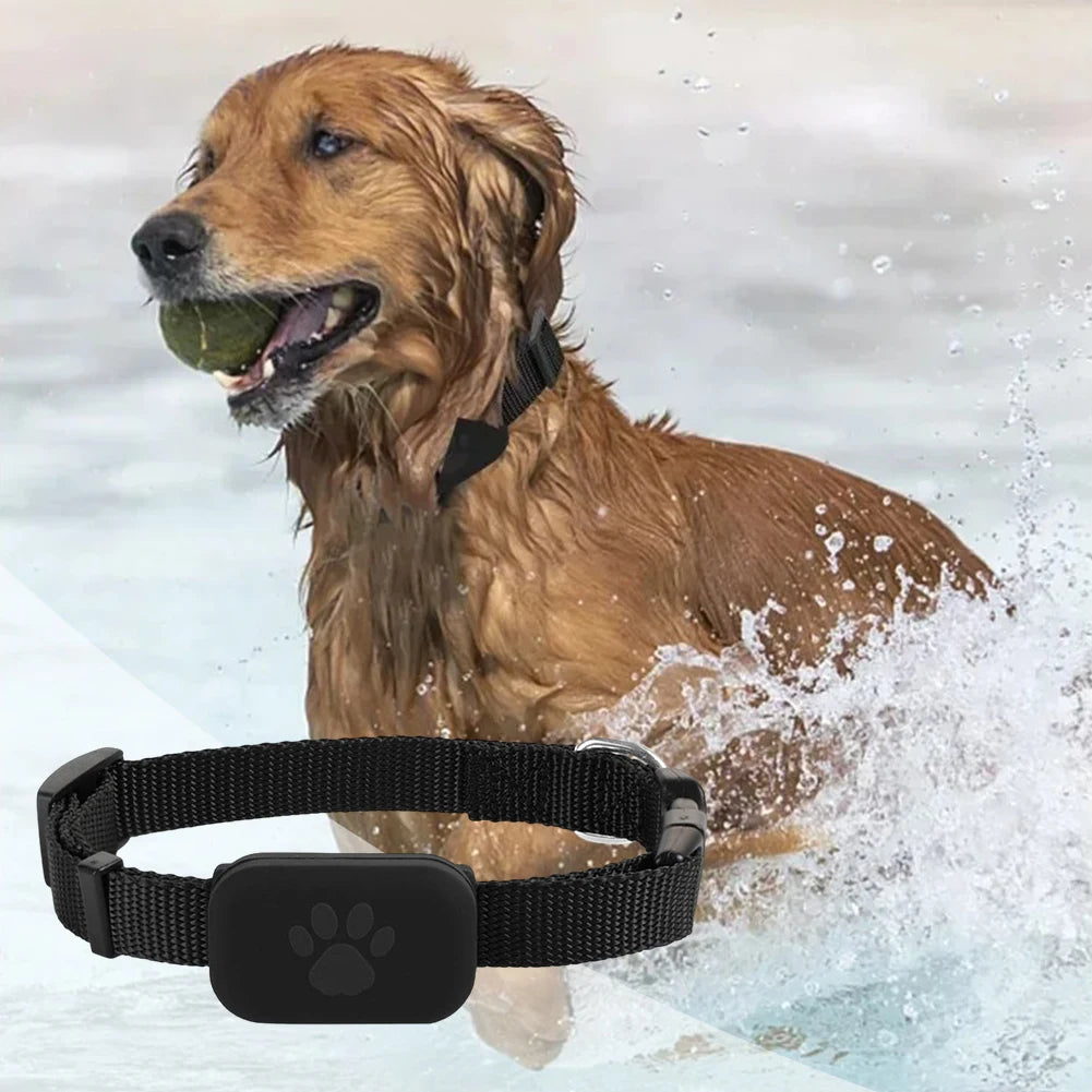 Dog Tracker with Adjustable Collar Smart Pet Locator Cat Tracker for Dogs and Cats
