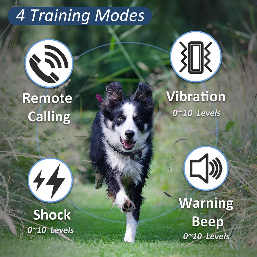 Dog Training Collar With Remote Control 6500ft IPX7 4 Modes