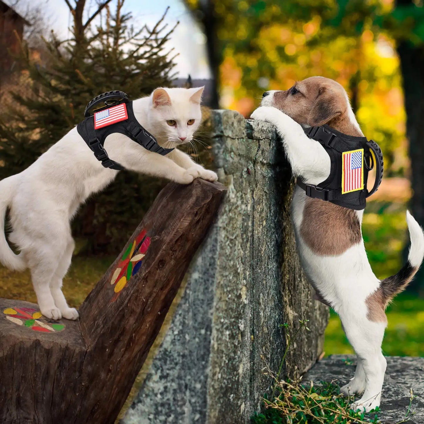 Tactical Puppy Harness Leash For Small Dogs And Cats